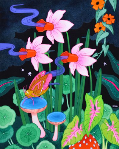Shannon Knight - Night Blooms