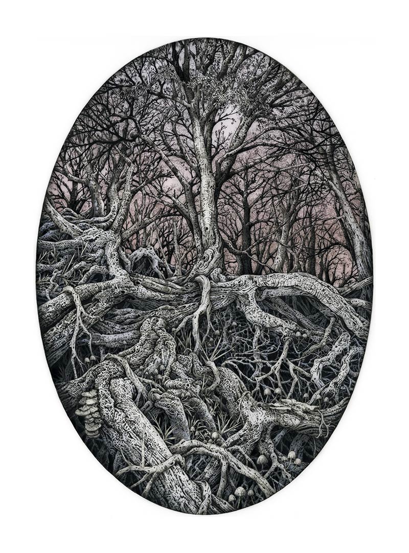 Rachael Pease - Mother Tree (Border)