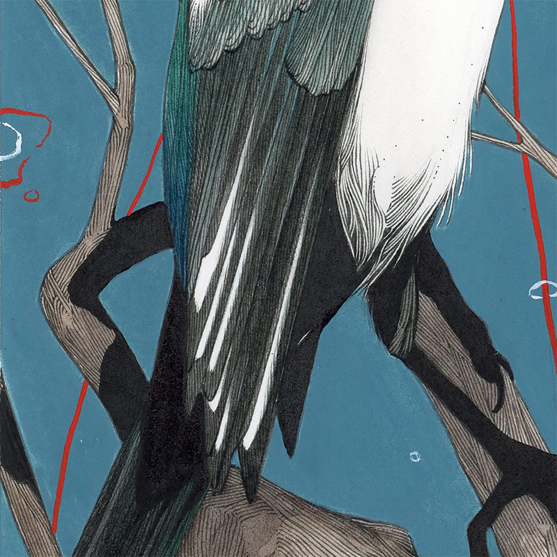 Bird Cvlt - Bloat (Detail 2)