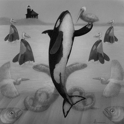 Juliet Schreckinger - The Orca Dance
