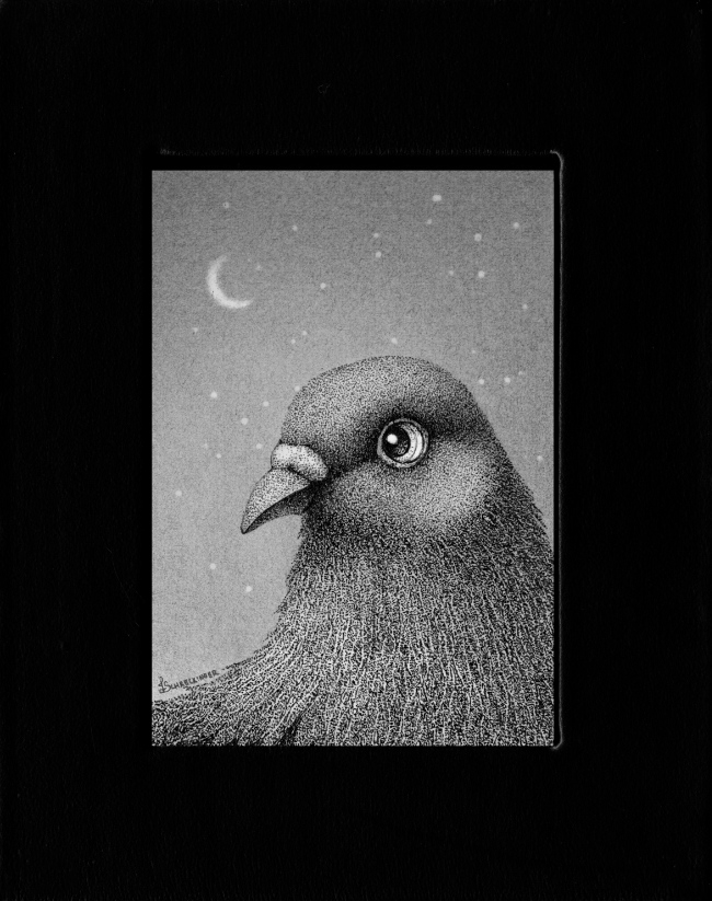 Juliet Schreckinger - Marvin the Pigeon (Framed)
