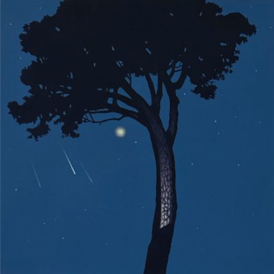 Christopher Burck - Falling Stars and Illuminated Stone Pine 1