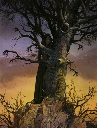 Bill Mayer - The Witches' Tree