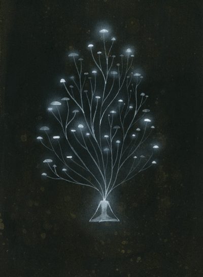 Aaron Piland - Mycelial Network