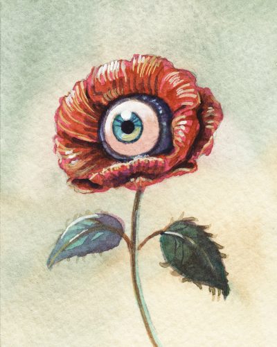Liese Chavez - The Garden of Sight