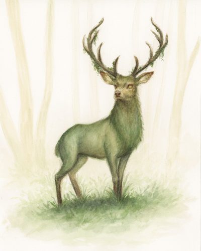 Lindsey Martin Gardner - Earth Stag