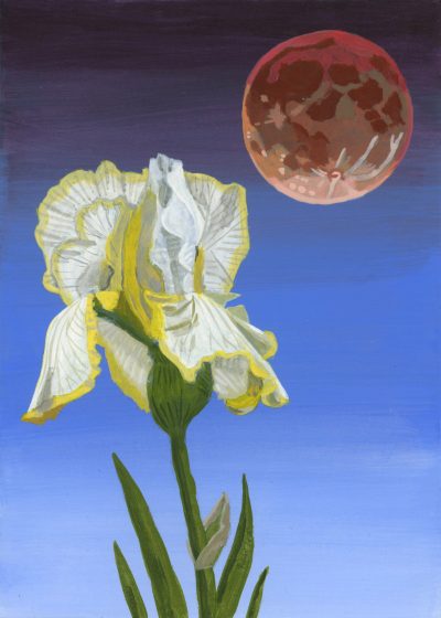 Nikki Longfish - Iris Blood Moon