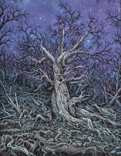 Rachael Pease - The Purple Star Field