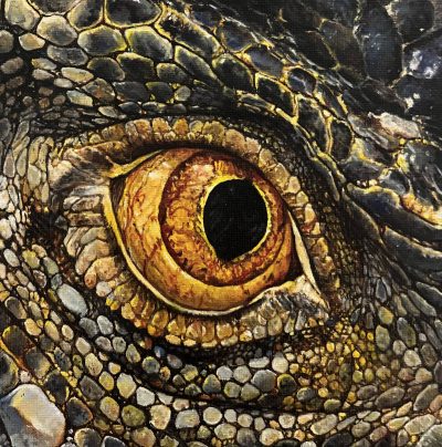 Sailev - Eye See You XXII (Lizard Eye)