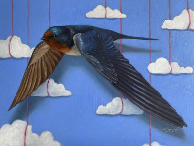 Angelika Paszko - Up in the Sky