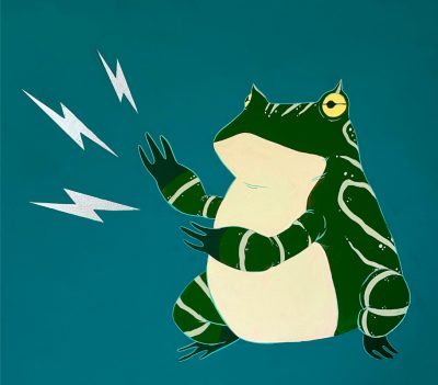 Cat Parker - Return of Magic Frog