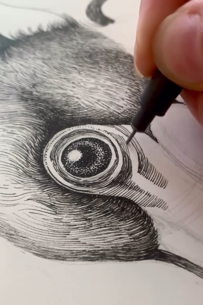 Marijke Ludwig - Submerge - WIP